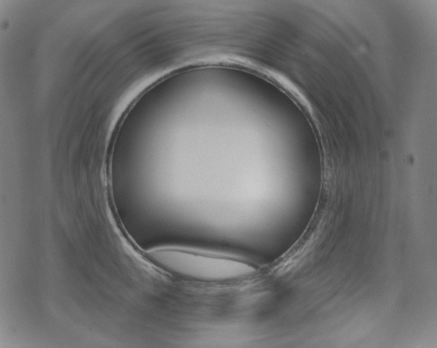X0000072940951200607210904