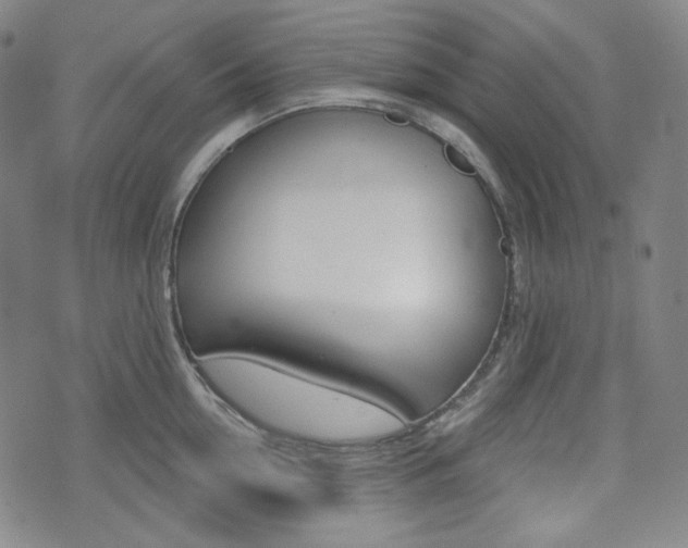 X0000072940954200607210904