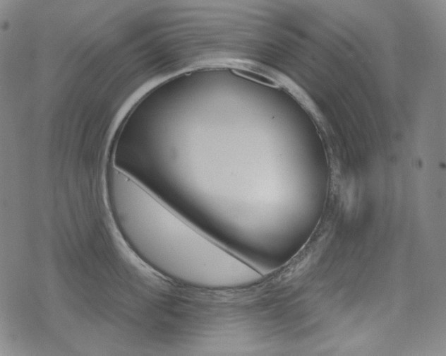 X0000072940955200607210904