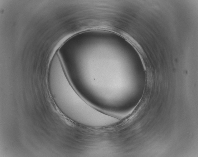 X0000072940956200607210904
