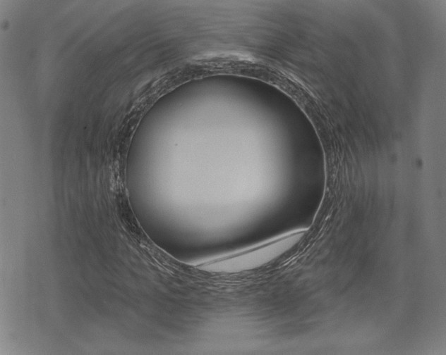 X0000072940965200607210903