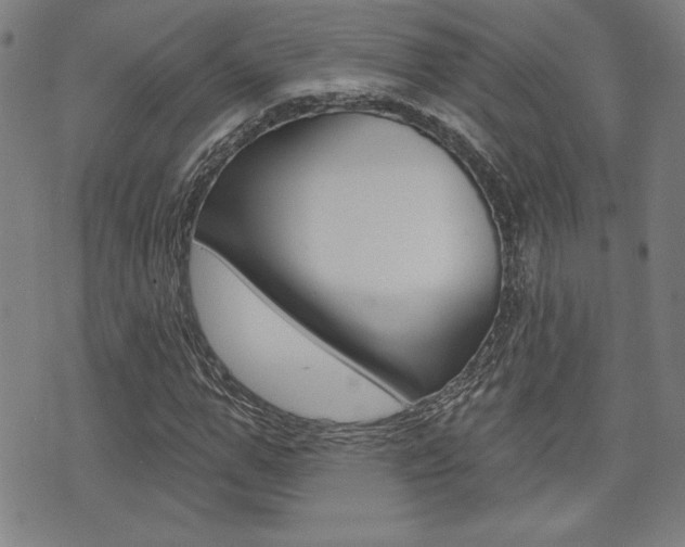 X0000072940967200607210903