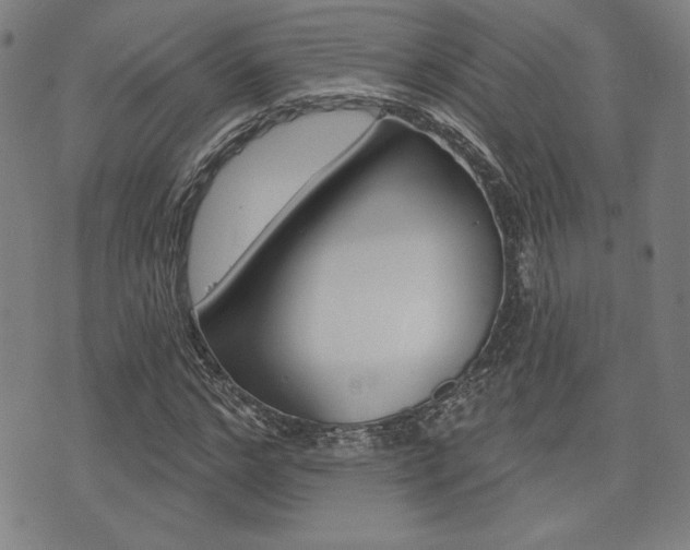 X0000072940968200607210903