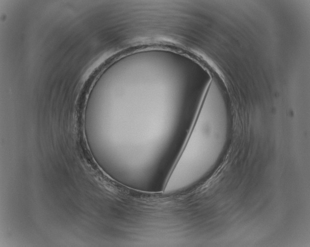 X0000072940975200607210903