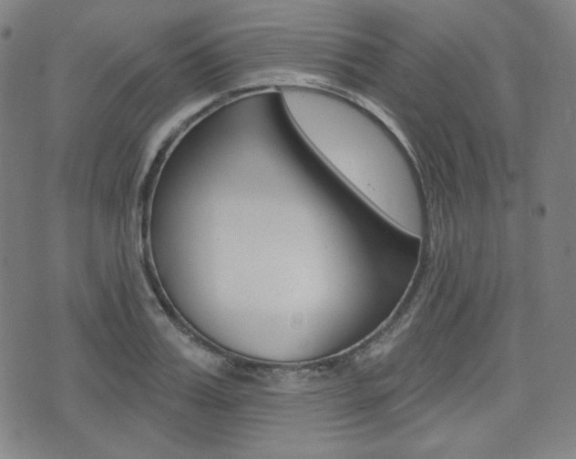 X0000072940987200607210903