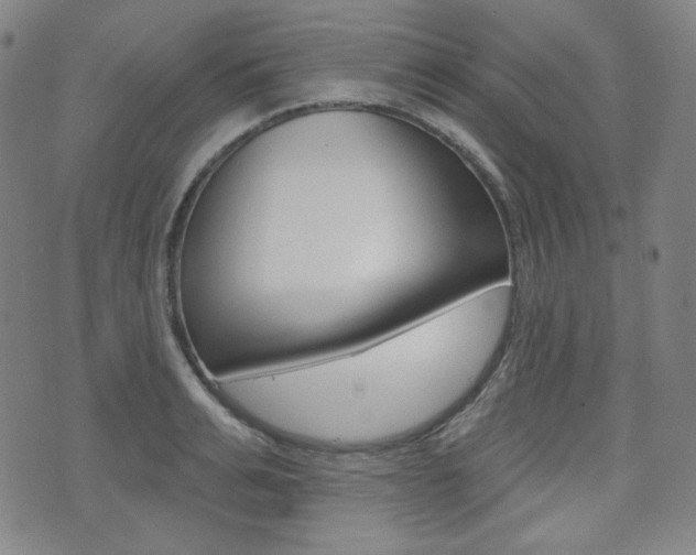 X0000072940991200607210903