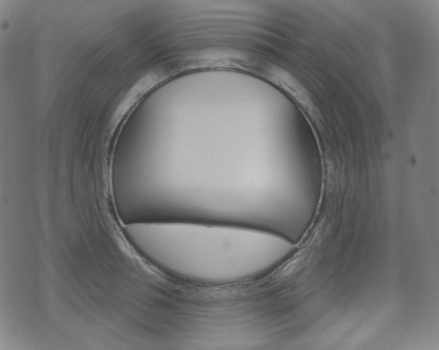 X0000072940994200607210903