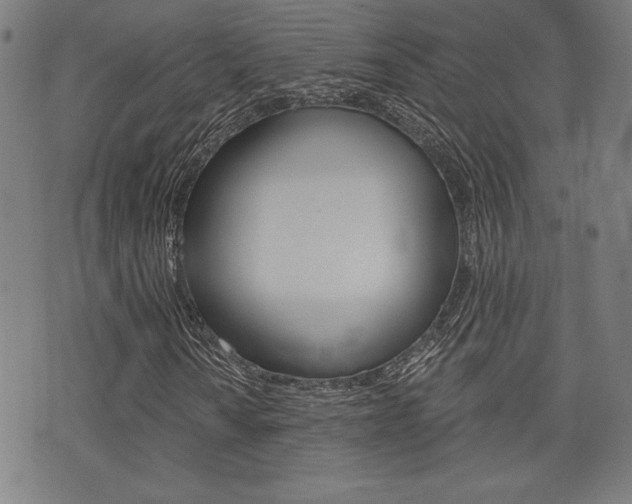 X0000072941010200607210902