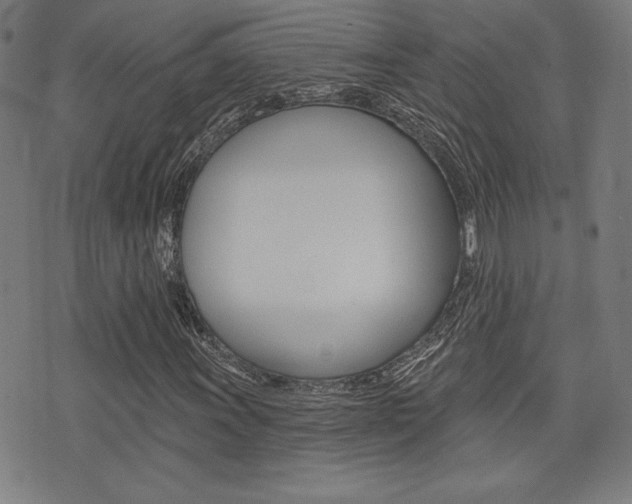 X0000072941011200607210902