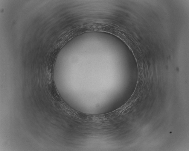 X0000072941013200607210902