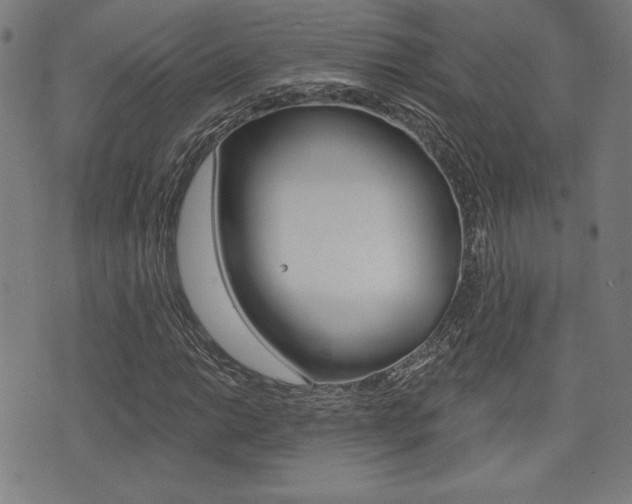 X0000072941014200607210902