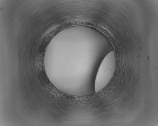 X0000072941015200607210902