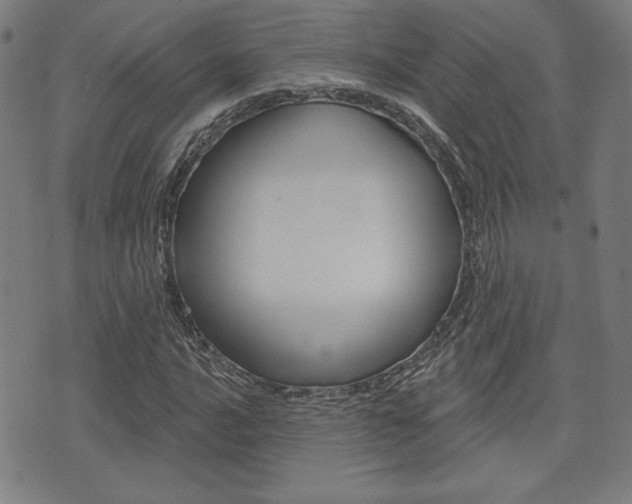 X0000072941016200607210902