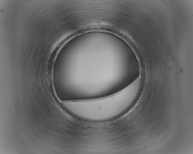 X0000072941018200607210902