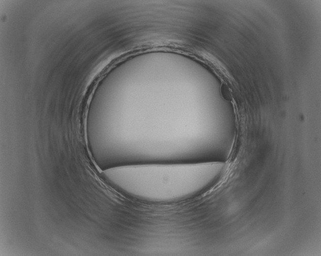 X0000072941023200607210902