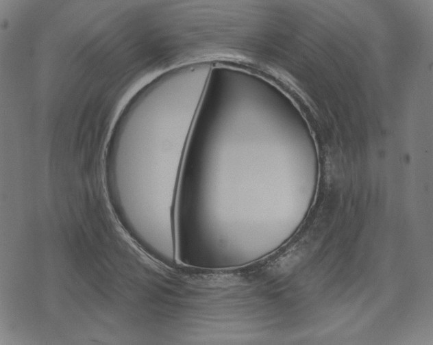 X0000072941024200607210902