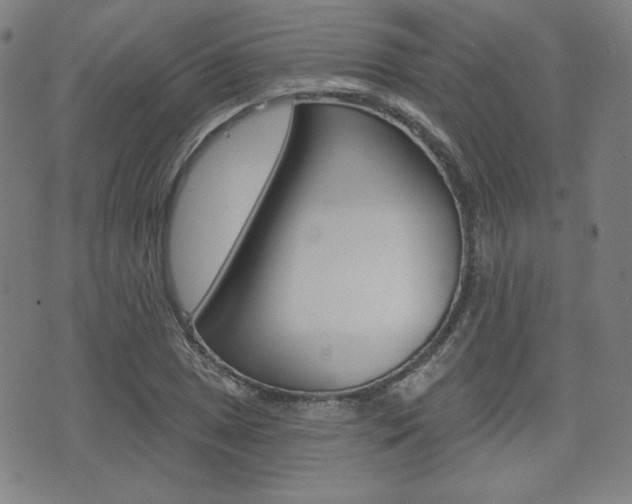 X0000072941025200607210902