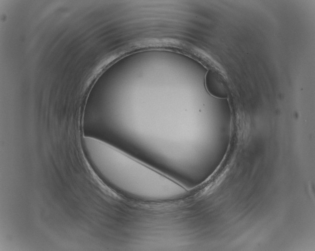 X0000072941033200607210902