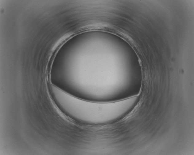 X0000072941034200607210902