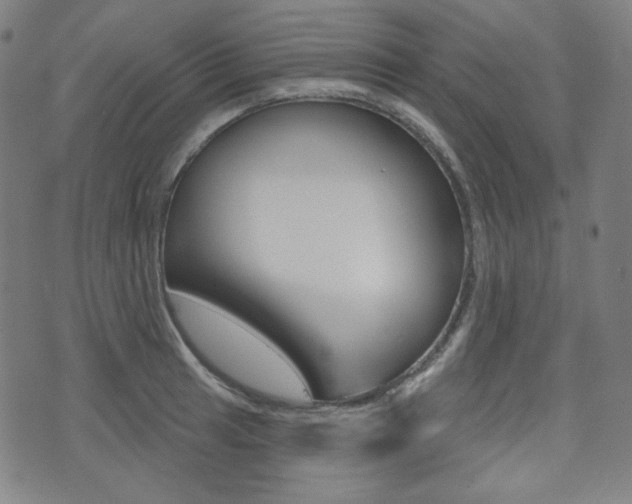 X0000072941041200607210902
