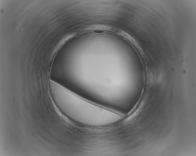 X0000072941049200607210902