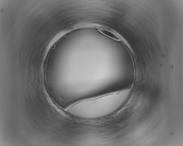 X0000072941053200607210902
