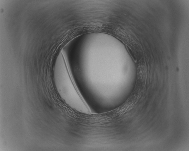 X0000072941057200607210902