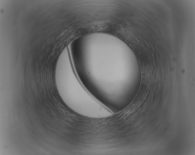 X0000072941058200607210902
