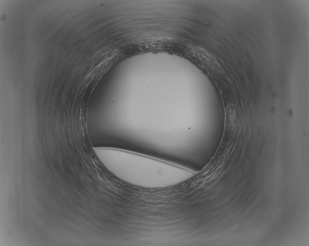 X0000072941060200607210901