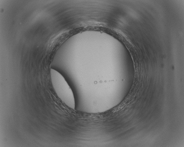 X0000072941063200607210901