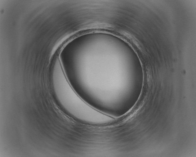 X0000072941069200607210901