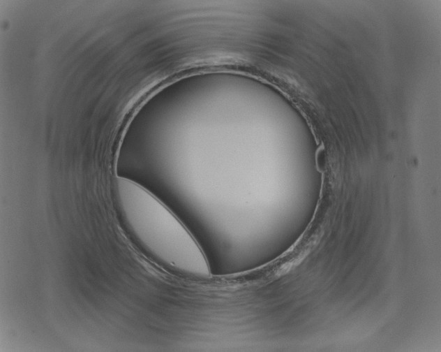 X0000072941073200607210901