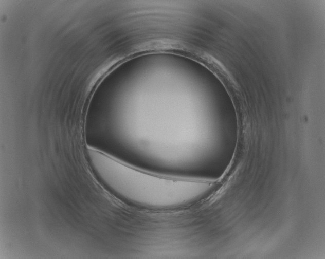X0000072941081200607210901