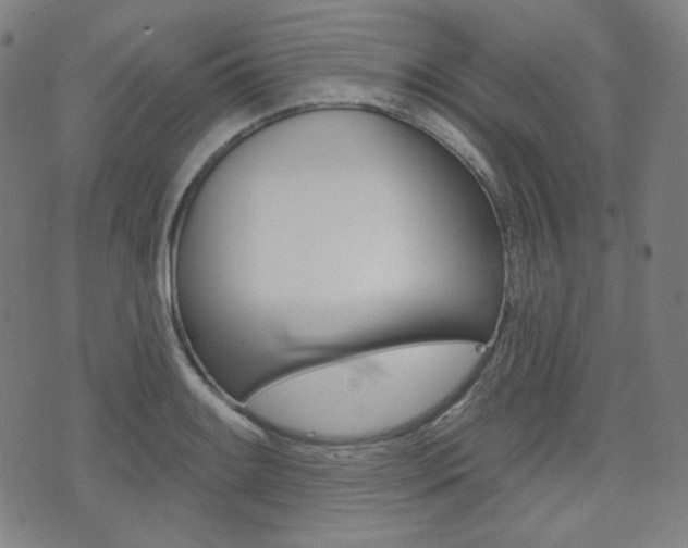 X0000072941084200607210901