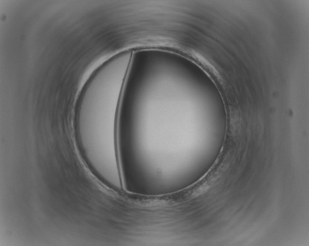 X0000072941085200607210901