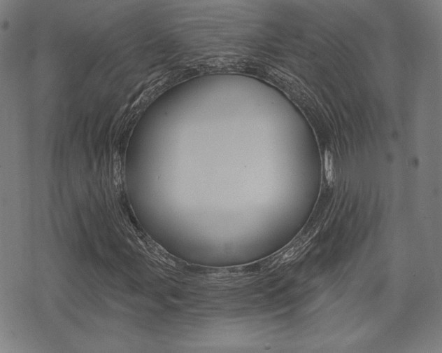 X0000072941107200607210900