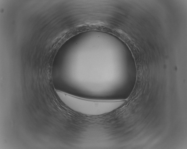 X0000072941110200607210900