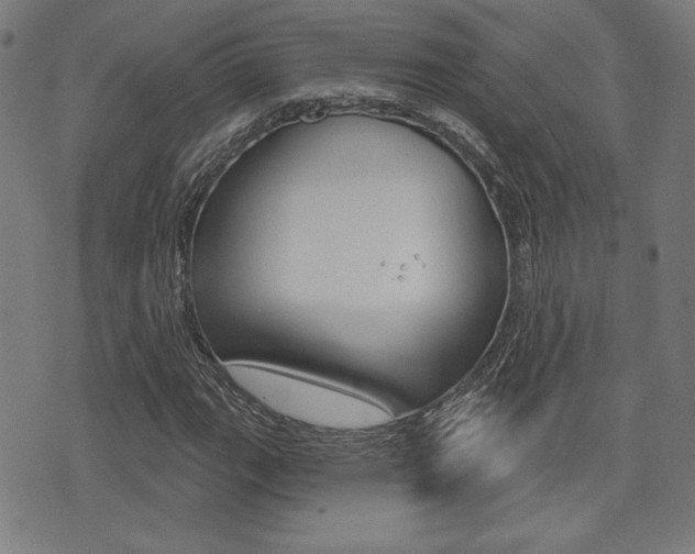 X0000072941111200607210900