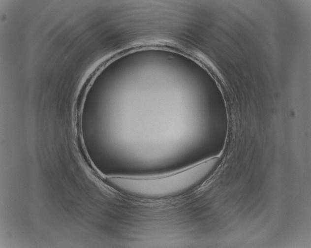 X0000072941124200607210900