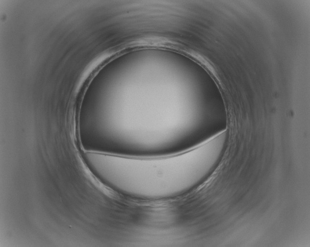 X0000072941131200607210900