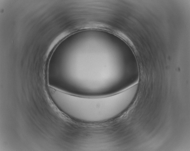 X0000072941138200607210901