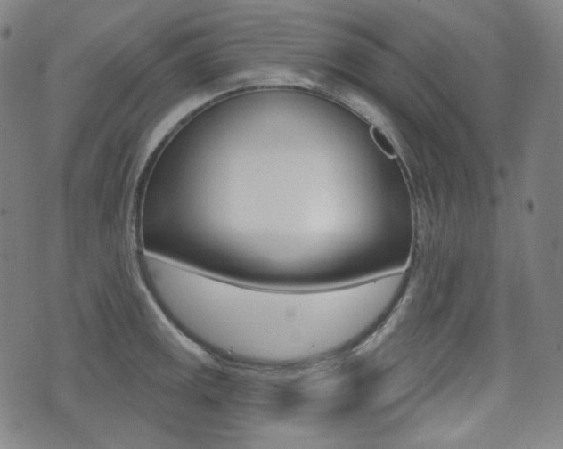 X0000072941141200607210901