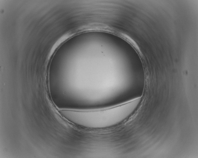 X0000072941146200607210901