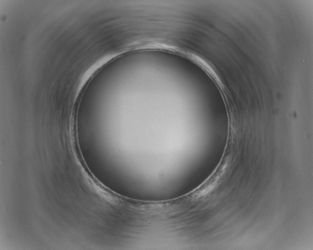 X0000072941149200607210901