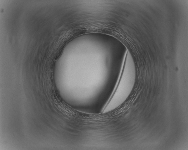 X0000072941153200607210900