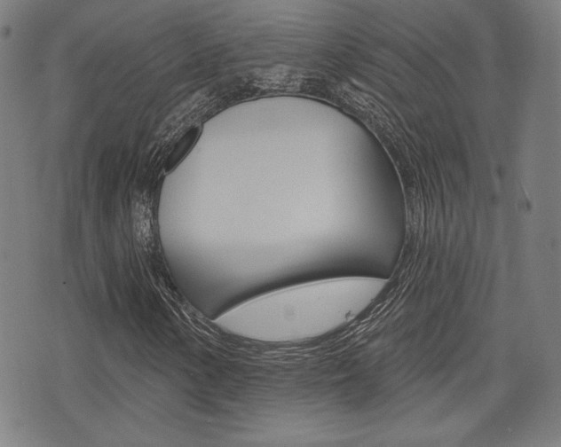 X0000072941154200607210900