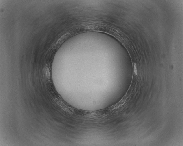 X0000072941155200607210900