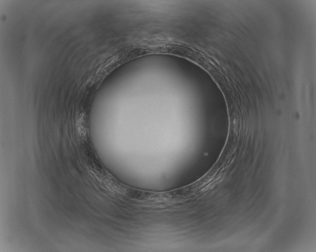 X0000072941156200607210900