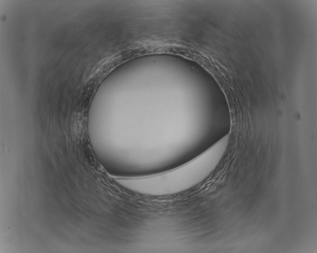 X0000072941157200607210900