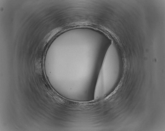 X0000072941162200607210900